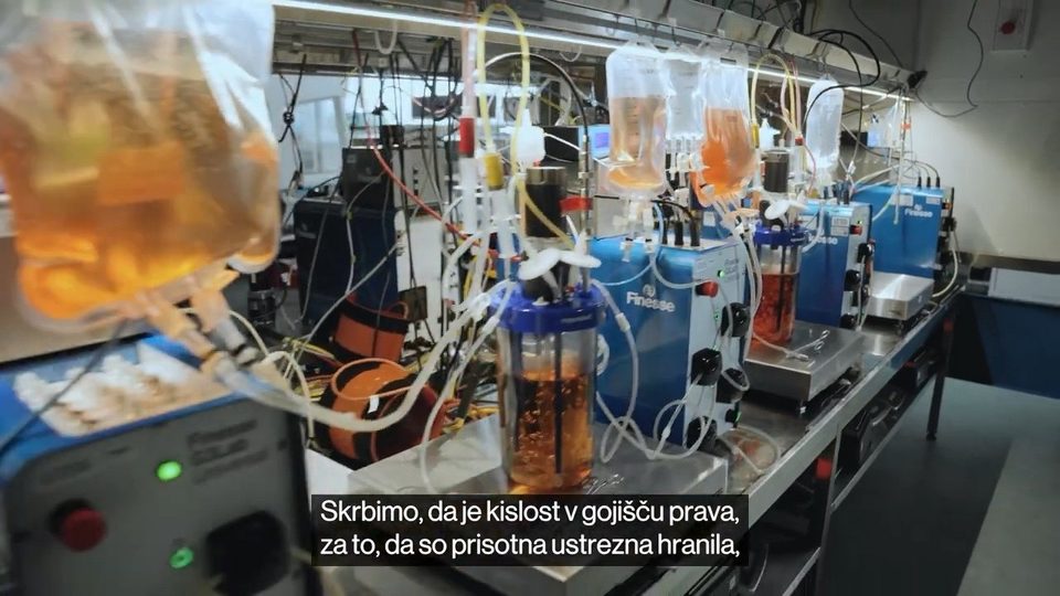 Bioreaktorji v laboratoriju za razvoj bioprocesa